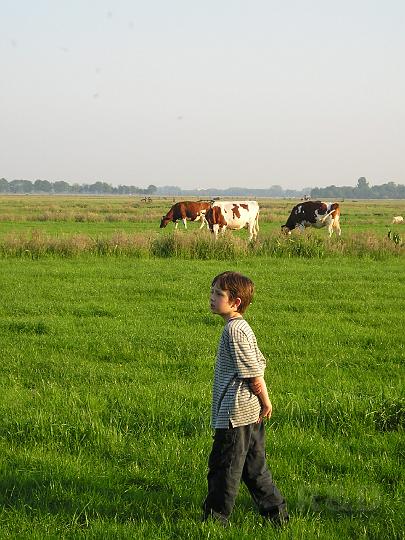 Ballonvlucht 24 mei 2007 (7).JPG